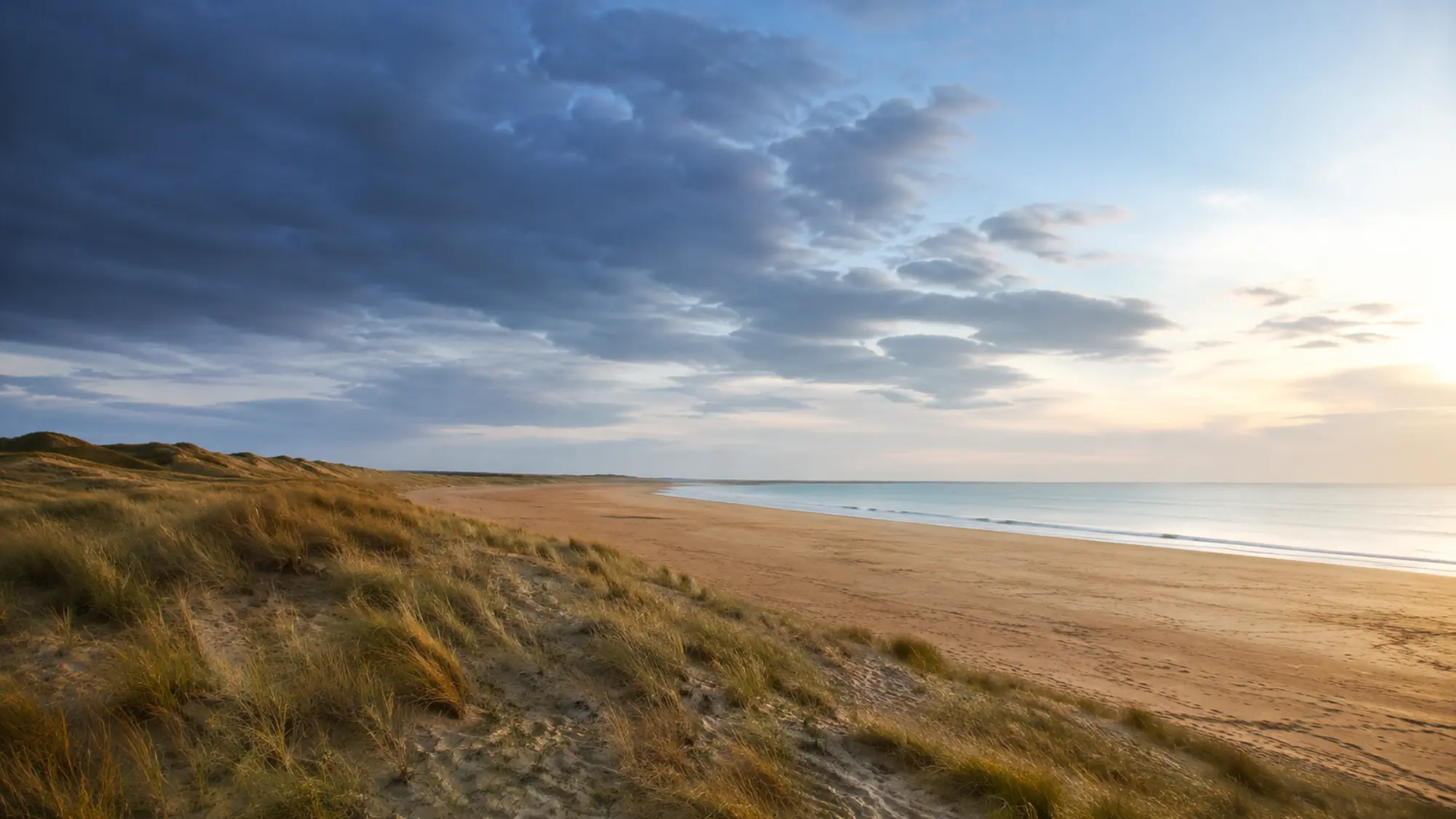 Wexford